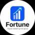Forune Digital Marketing Services